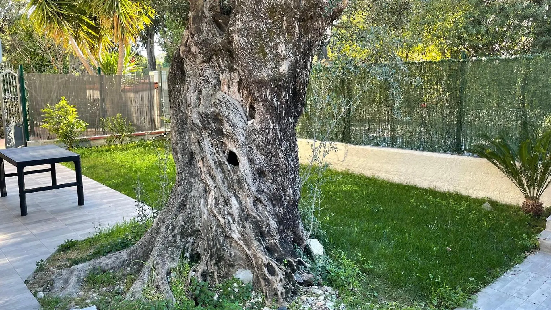 Joli Rez De Jardin 3 Pieces A Cagnes Sur Mer Apartment Cagnes-sur-Mer